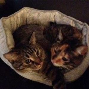 Meet your Posher, Karen